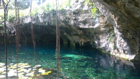 10700523_10154832039620573_6958233938985569137_o