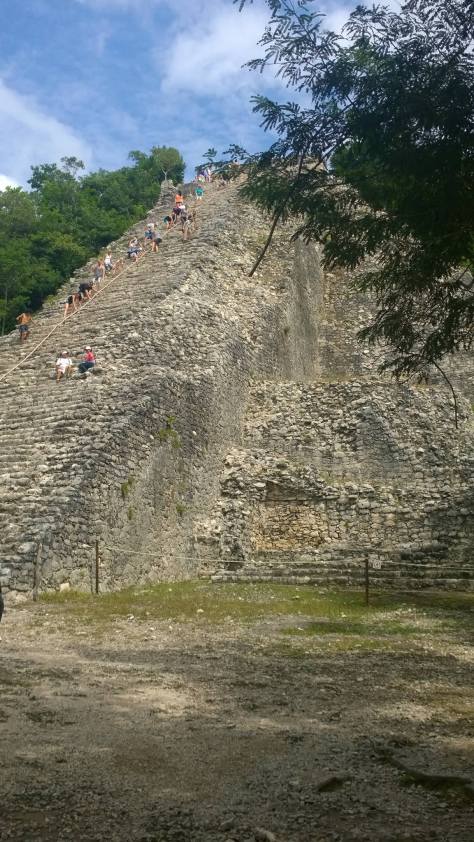 1911105_10154836362060573_2543432946427089102_o